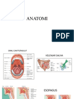 anatomi gastroenterohepatologi .pptx