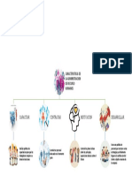 Caracteriscas de Lso Recursos Humanos