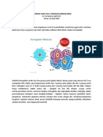 Interaksi Sars-Cov-2 Dengan Hemoglobin