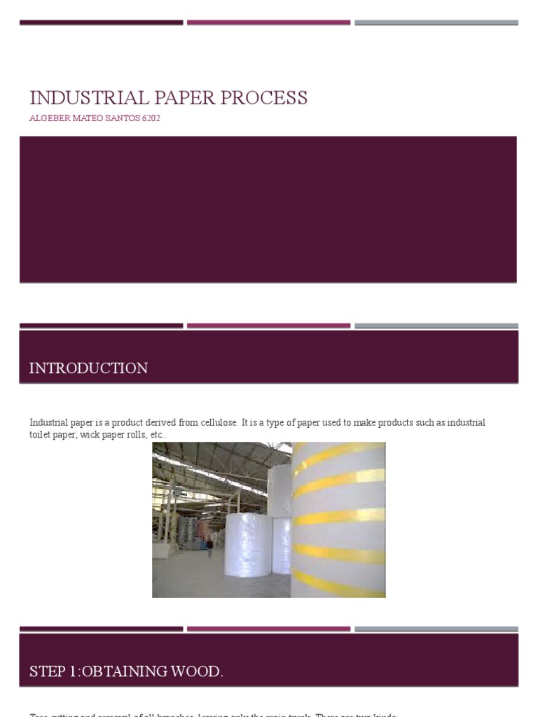 Industrial Paper Process Algeber Mateo Santos 6202 PDF Pulp (Paper