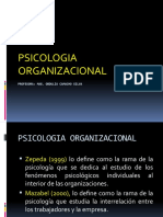 psc. organizacional-2013-revisado