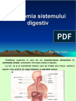 lectie_20_anatomia_sistemului_digestiv.
