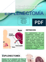 Exp. Esplenectomía PDF