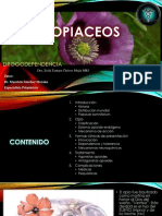 Opiaceos 140607130831 Phpapp01