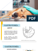 Gastrotomia, enucleacion