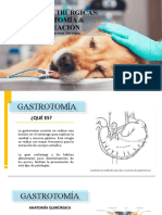 Gastrotomia, Enucleacion