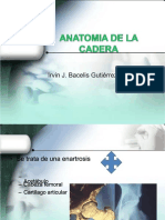 pdf-001-encerado-diagnostico_compress