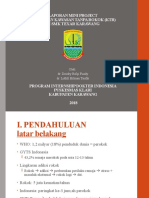 PPT Minipro