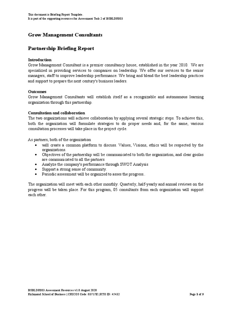Partnership Briefing Report Template | PDF | Swot Analysis | Business