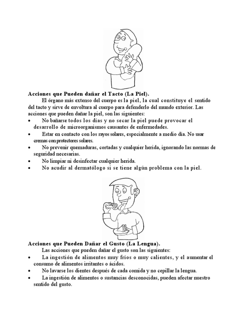 Acciones Que Danan Los Sentidos PDF Ojo humano Olfato