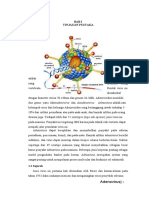 Virologi Adenovirus