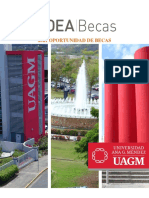 2021 OEA UAGM Convocatoria de Programa de Beca PDF