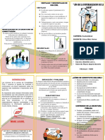 Triptico Ley Eirl PDF