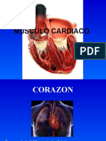 ANATOMIA 25