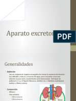 Aparato Excretor