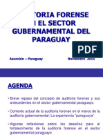 Auditoria Forense en El Sector Gubernamental en El Paraguay