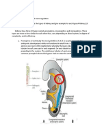 Excretory System and Osmoregulation