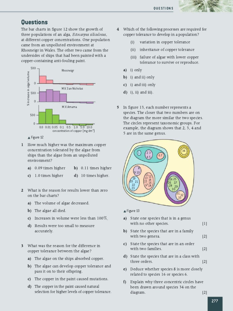 Evolution and Clasification Questions | PDF | Biology | Organisms