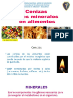 Clase 3 Cenizas y Minerales 2020 - BR