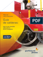 Calderas -GAS  Fenosa.pdf