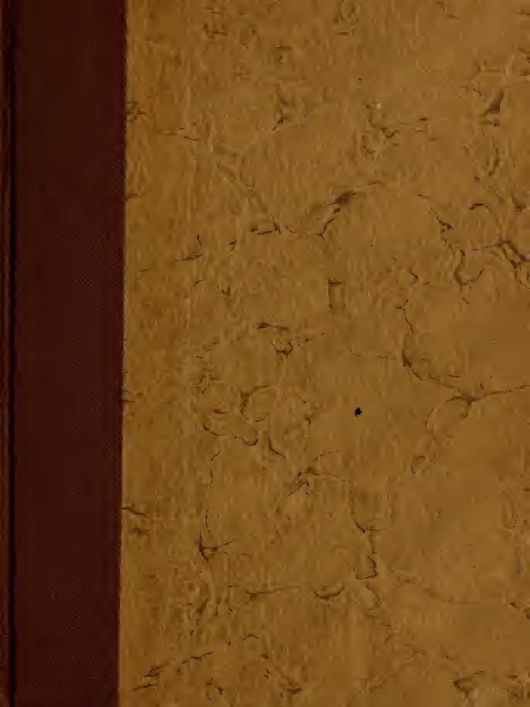 Coinníoll Teanga de dhíth sna Naíolanna Gaeltachta, image size:768x1024