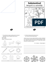 Substantivul - Brosura Cu Activitati PDF