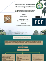 Elaboración de Bioplásticos y Determinación de Su Biodegradabilidad - Proyecto de Laboratorio