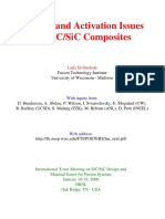 20xx - Presentation - Nuclear and Activation Issues For SiCSiC Composites - Laila El-Guebaly