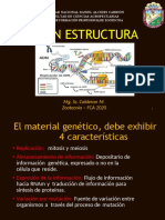 2 ADN Estructura