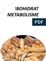 002 Carbohydrate Metabolism 1.en - Id