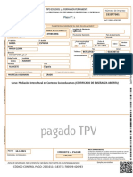 Carta de pago.pdf