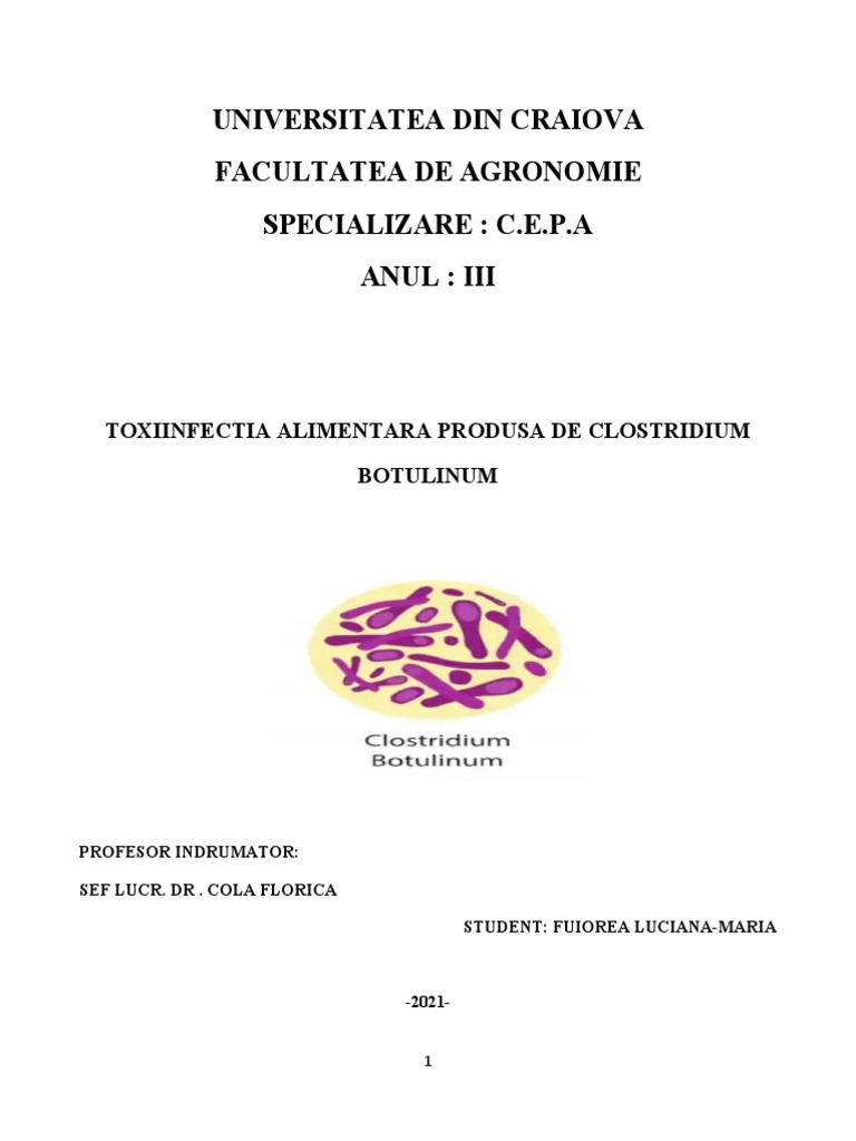 Proiect Fuiorea Maria, C.E.P.A, AN III .. | PDF