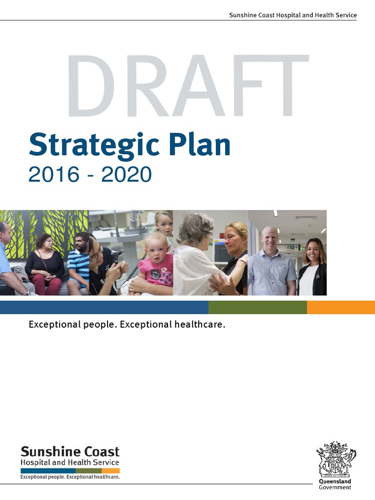 Draft Strat Plan 2016 20 | PDF | Patient Safety | Health Care