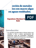 Biosorcion de Materiales Pesados Por Alg PDF