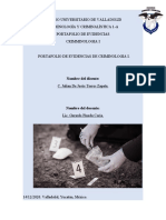 Carpeta de Evidencia Criminologia