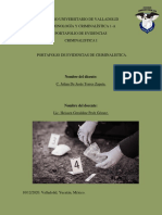 Carpeta de Evidencia Criminalistica PDF
