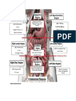 Colon,: Left Kidney, Pancreas, Spleen