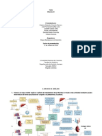 Taller Vitamina D - Bases fisiológicas de la nutrición