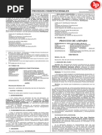 Procesos Constitucionales: Proceso de Amparo