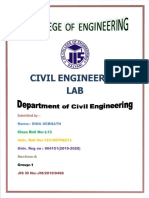 Dina Debnath L13 (Effloresce Test) PDF