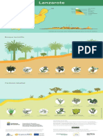 Pisos-Lanzarote Infografía PDF