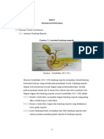 Cholelitiasis 1