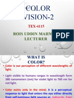 Color Vision 2 (Final) PDF