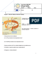 Ficha de trabalho 4-1ºano