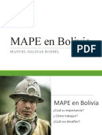 MAPE en Bolivia_MANUEL SALINAS.pptx