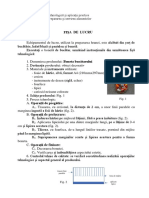 boneta_de_bucatar (1).pdf