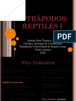 ZOOLOGÍA DE VERTEBRADOS Clase 6 Tetrápodos Reptiles I
