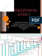ZOOLOGÍA DE VERTEBRADOS Clase 8 Tetrápodos Aves I