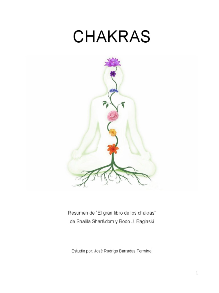 Resumen EL GRAN LIBRO DE LOS CHAKRAS V.2 PDF | PDF | Las emociones ...