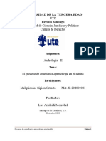 Proceso de Enseñanza-Aprendizaje en El Adulto